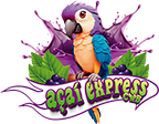 AÇAÍ - COLOR